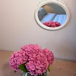 Janez * ليوبليانا